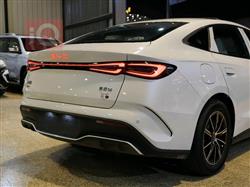 بي واي دي سيل 06 DM-i